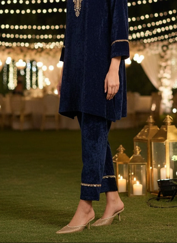 VELVET NAVY RADICAL PANTS