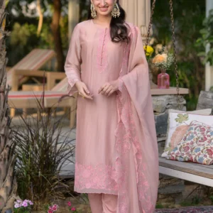 Peach Pink Organza Cut and Scallope Work with Thread Hand Work Embroidered Details